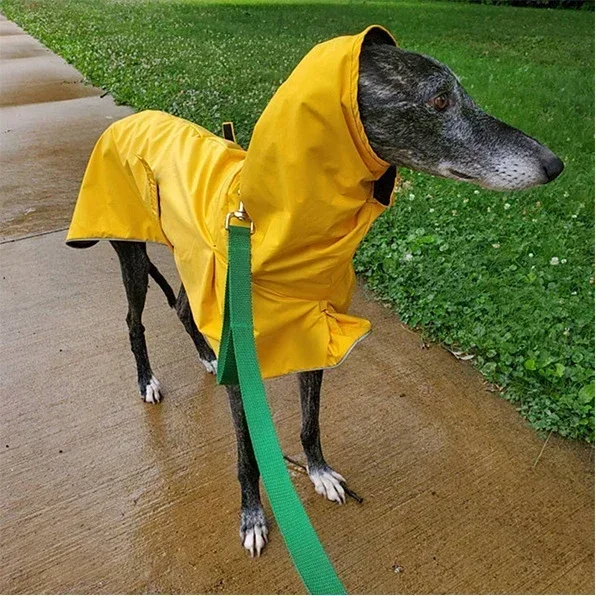 Italiaanse windhondkleding waterdichte Whippet jas Winter verstelbare windhondkleding Winter warme fleecekleding Hond warme jas