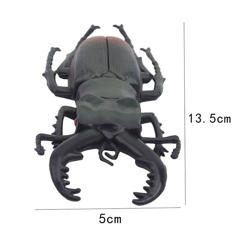 Simulation nyhed bille legetøj speciel livagtig model simulation insekt legetøj børnehave læremidler hjælp joke legetøj: Stor staghorn