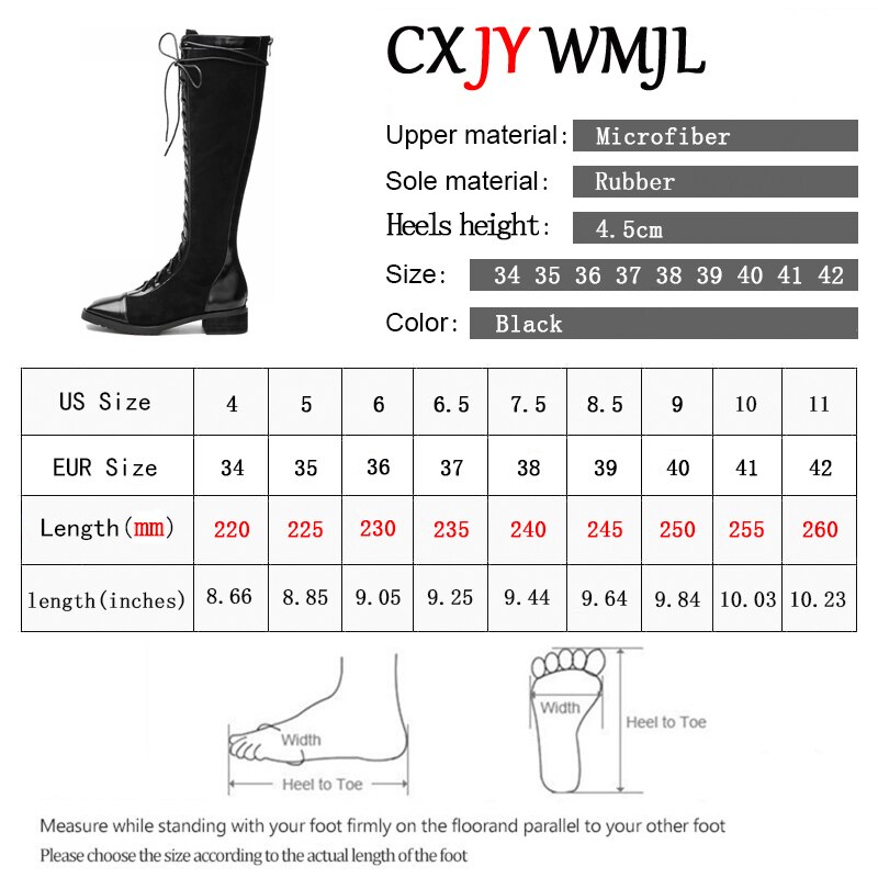 Automne bottes hautes pour femmes dos fermeture éclair microfibre cuir Plus velours chaussures pour femmes talon carré romain chevalier botte grande taille 42