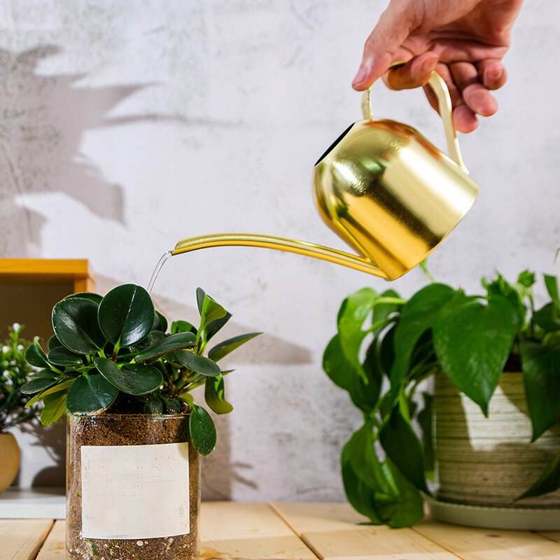 Regadera de boca larga de acero inoxidable de 500ML, regadera de plantas verdes, regadera pequeña dorada, herramientas de jardinería, Control de agua