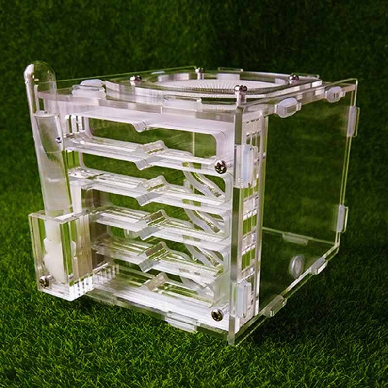 Ant Farm Acrylic Three-Dimensional Moisturizing Ant Nest Pet Ant Rearing Box Insect Supplies