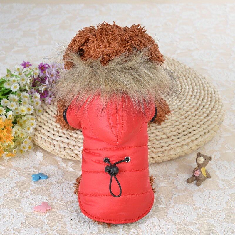 Vinter varmt kæledyr hundetøj til små hunde chihuahua bulldog tøj tykkere hvalp kat frakke jakker hunde outfits kæledyr produkter: Rød / L