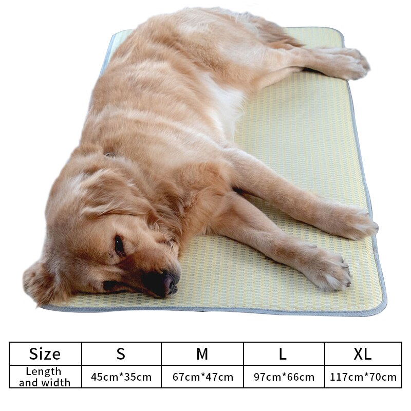 Hoopet Huisdier Zomer Koelmat Hond Zomer Bed Kat Mat Mascotas Cama Perro Sofa Voor Honden Huis: S / Apple Groen