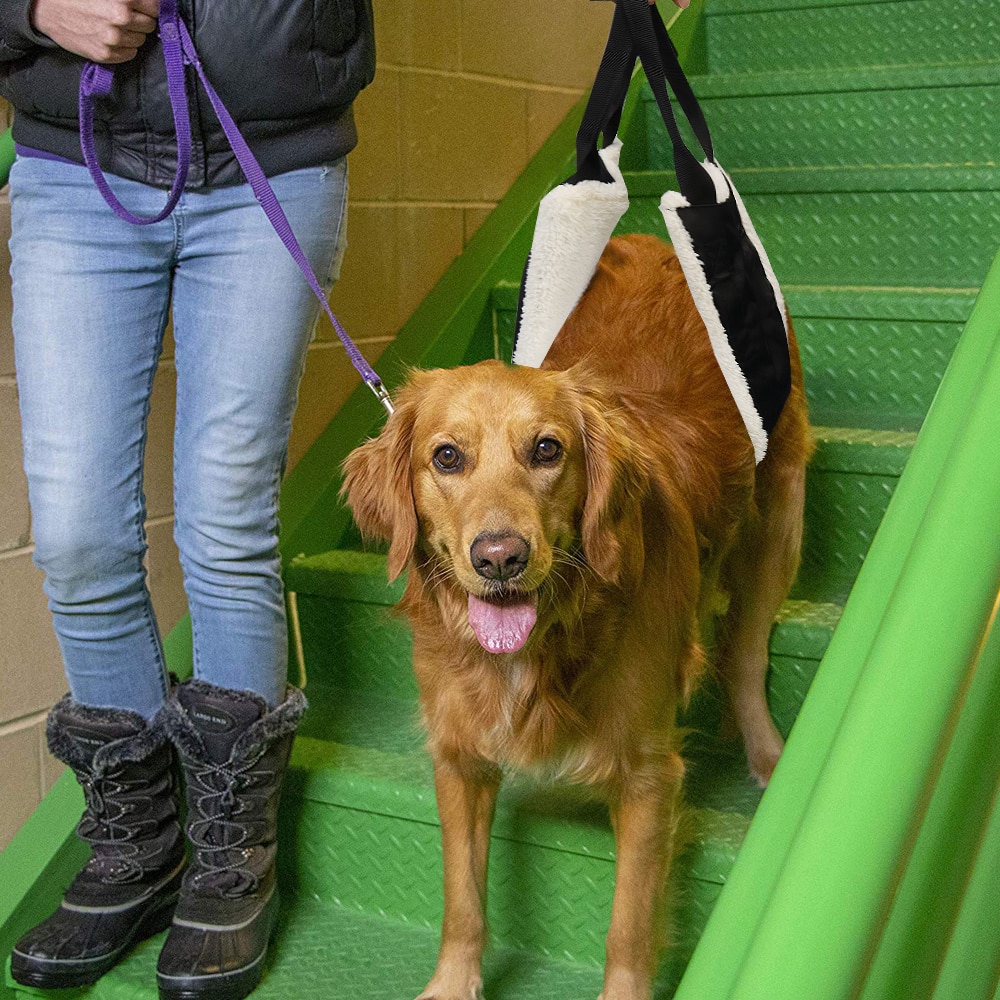 Arnés de soporte para perros, resistente al agua, elevador de perros, forro suave, chaleco de elevación para perros grandes y ancianos dañados con mango