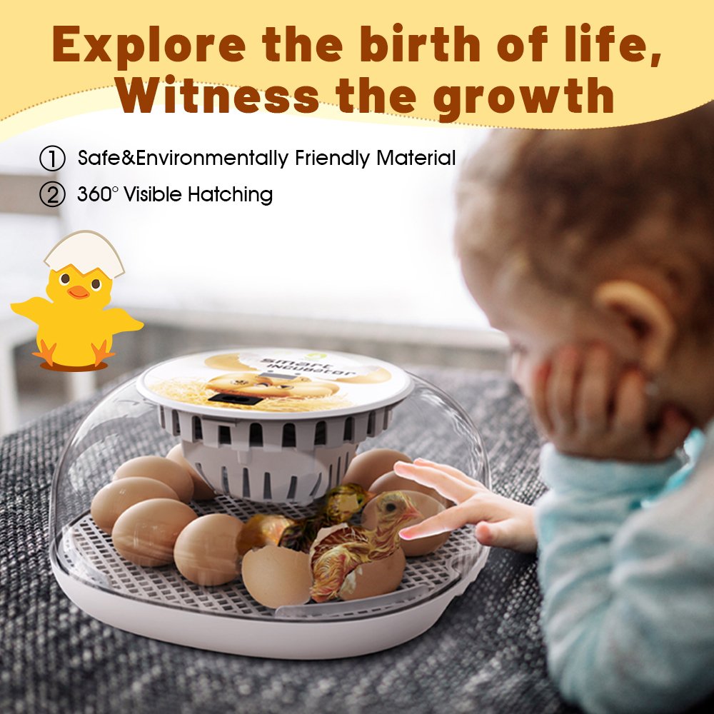 M12 transparante hoes voor het observeren van thuisbroedmachine, automatische temperatuurregeling en weergave van 12 eieren, kleine incubator