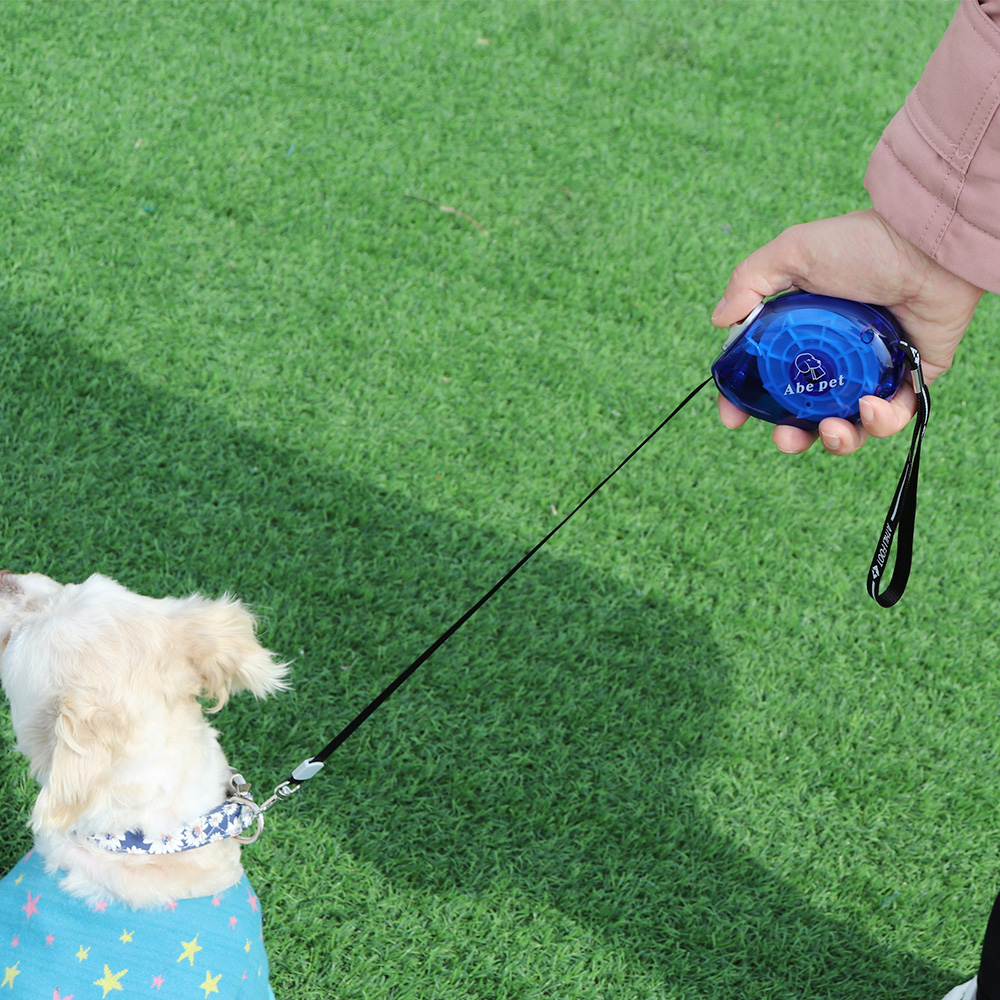3M Retractable Small Dog Leash Automatic Dog Cat Leash Belt Extending Pet Lead for Small Dogs Puppy Collar Harness Accessories