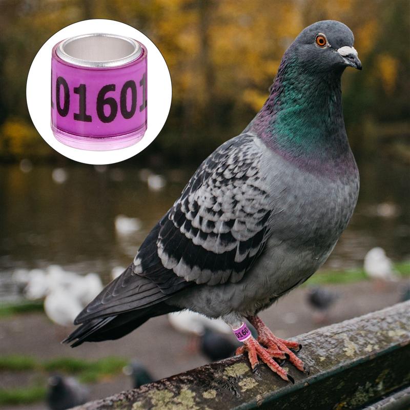 100Pcs Pigeon Foot Rings Numbered Pigeon Foot Ring Bird Leg Rings Leg Bands Racing Identification Rings Bird Accessories