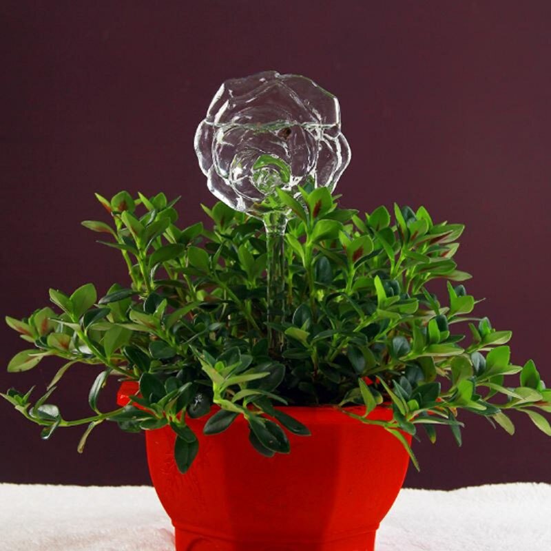 6 soorten Huis Planten Bloemen Water Feeder Automatische Zelf Sproeisysteem Apparaten Glass Water Feeder Vogel Vorm Vazen