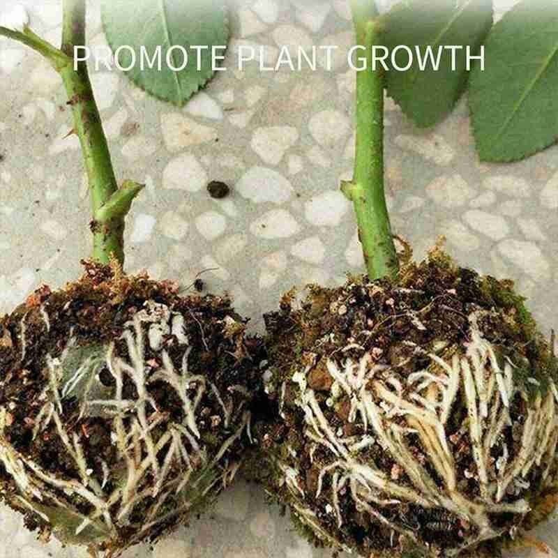 Bola de corte de bolas para cortar plantas, caja de enraizado para cultivo de reproducción de PP, suministros de jardín, Bola de esquejes para plantas, 3/5/10 Uds.