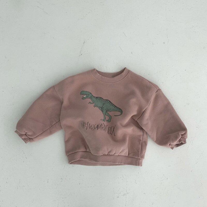 Sweat-shirt à Manches Longues Pour Garçon - Motif Dinosaure Ou Renne De Noël - 100% Coton, Tailles 1 à 7 Ans