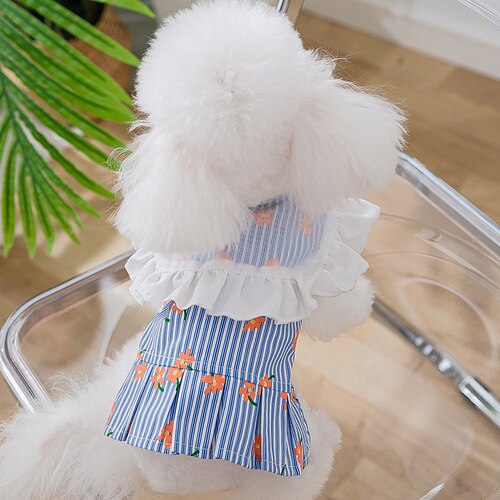 Dog Pets Clothes Summer Cat Vest Small Dog Costume Floral Skirt Yorkies Pomeranian Clothes Bichon Poodle Dog Clothing: Blue / L