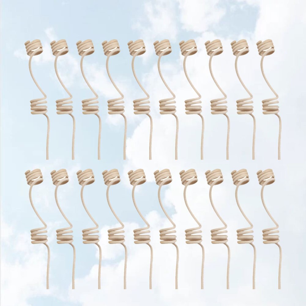 20Pcs Rotan Riet Stokken Dubbele Spiraal Hoofd Nuttig Portable Geur Voor Kantoor: Default Title