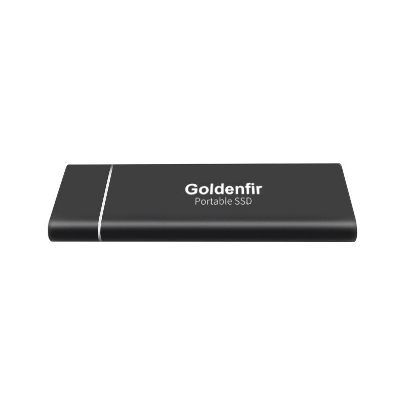 Goldenfir item Draagbare SSD USB 3.1 60GB 120GB 360GB Externe Solid State Drive voor Zakelijke en prive