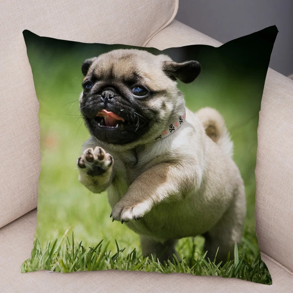 Cute Pug Dog Cushion Cover Both Sided Print Decor Pet Animal Pillowcase for Car Sofa Home Car Soft Plush Throw Pillow Case