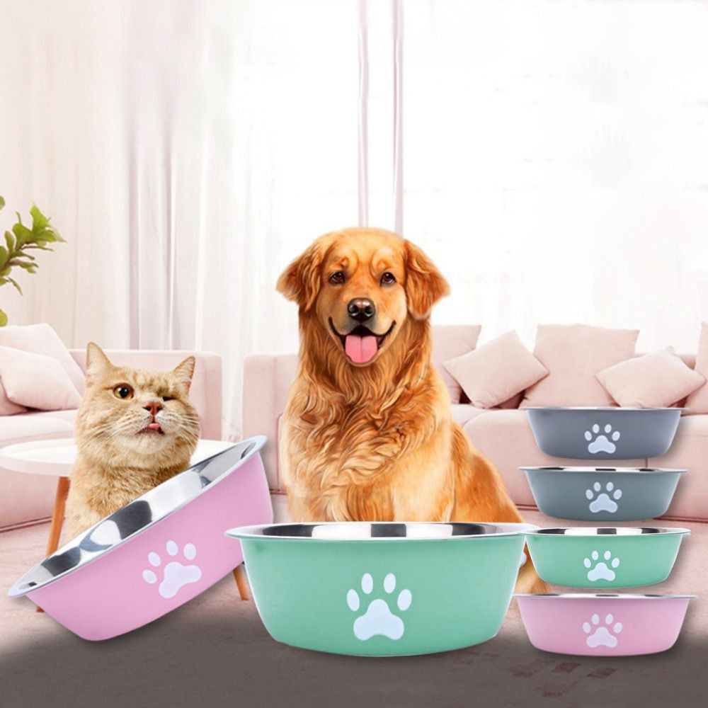 Bol pour chien en acier inoxydable de grande capacité, bol d'eau à bicouche antidérapant pour chien, mangeoires pour animaux de compagnie, motif patte de chat, bol d'alimentation pour chat, maison