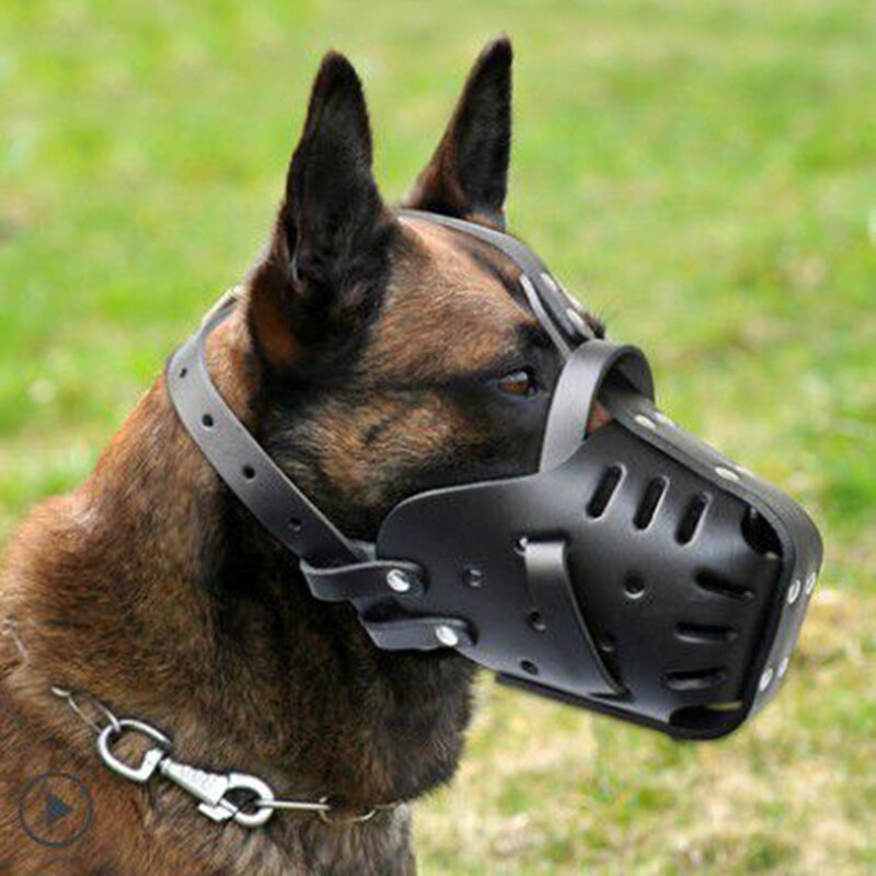 Basket Muzzle For Bulldog Muzzle German Shepherd Muzzle Dog Muzzle To Stop Eating Everything Homemade Dog Muzzle For Barking: Black / L