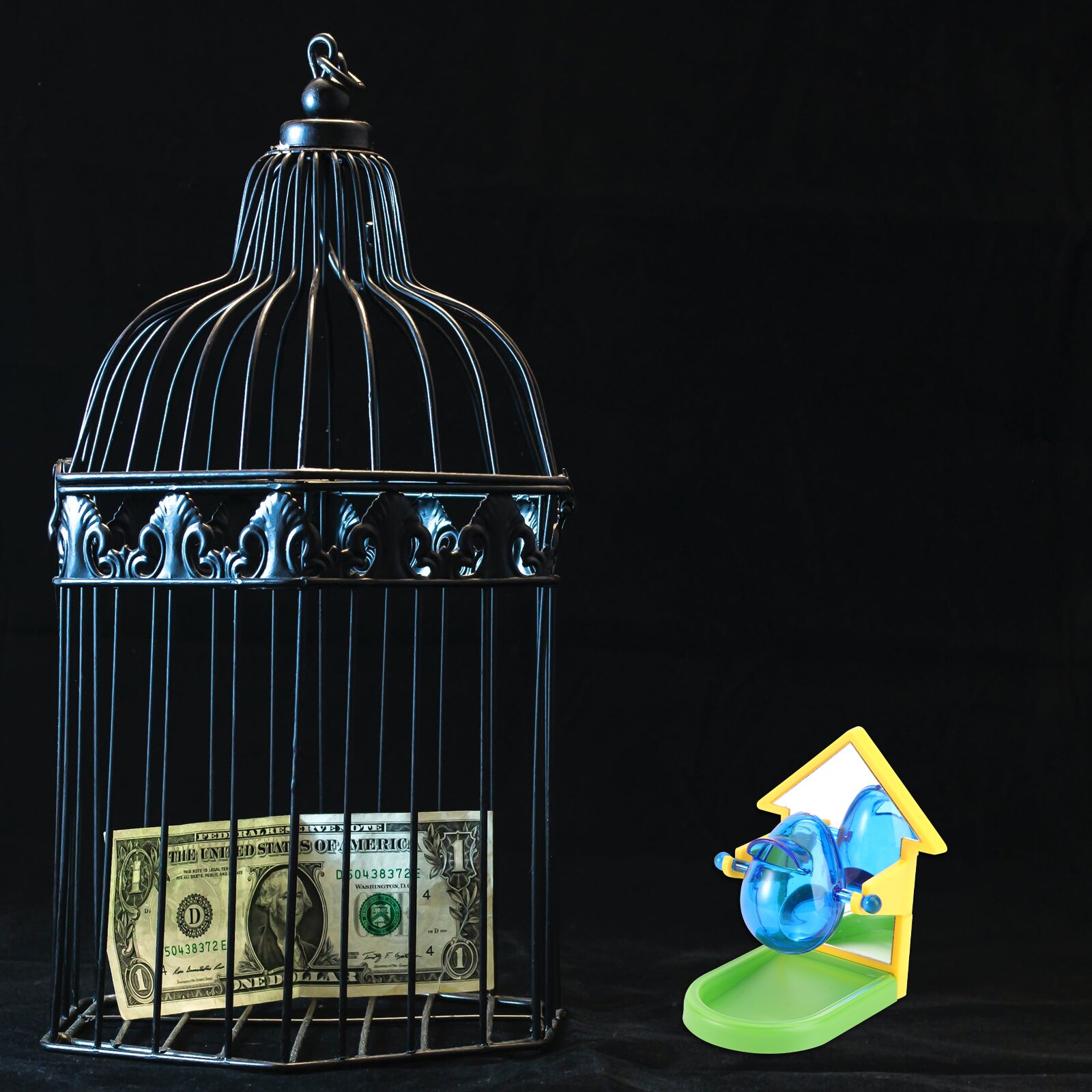 1pc Bird Parrot Toys Food Training Bird Food Leakage Toys Pet Supply