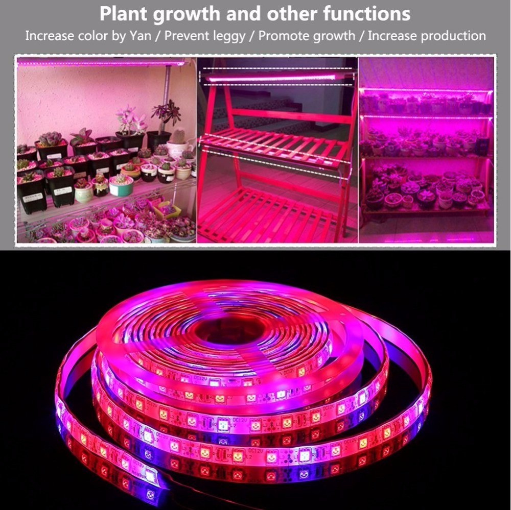 5050 Led Strip Voor Planten Groeien led licht groeien phyto lamp voor planten phytolamp voor zaailingen phyto lamp voor planten groeiende Groei