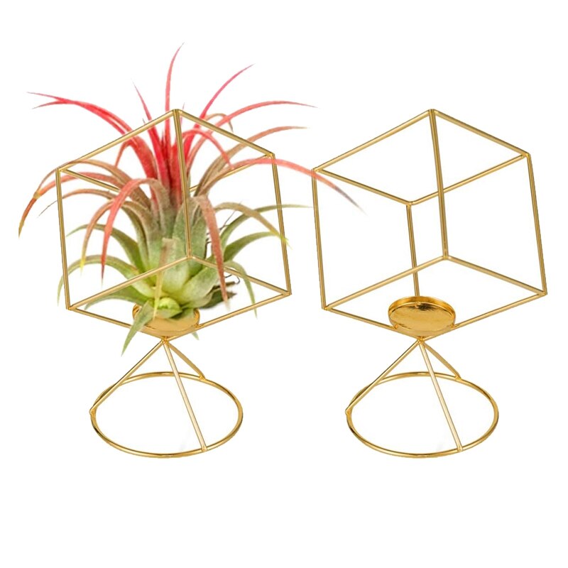 2 pakke luft planteholder tillandsia luft anlegg stå hengende containere vise stativer til idé: misligholde tittel