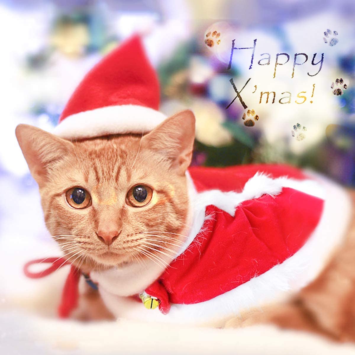 deguisement noel chien deguisement chien Costumes de noël pour animaux de compagnie, costume de père noël, chapeau pour chien et chat, cape, vêtements amusants pour animaux de compagnie, convient aux petits et moyens c