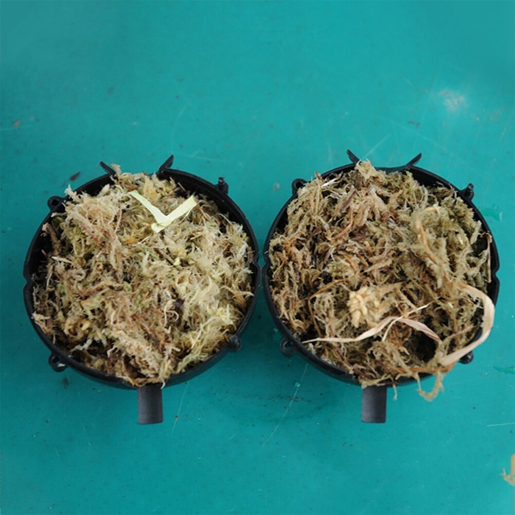 5pcs Plant Rooting Ball Plant Root Growing Box Grafting Rooting Growing Box Breeding Case For Garden