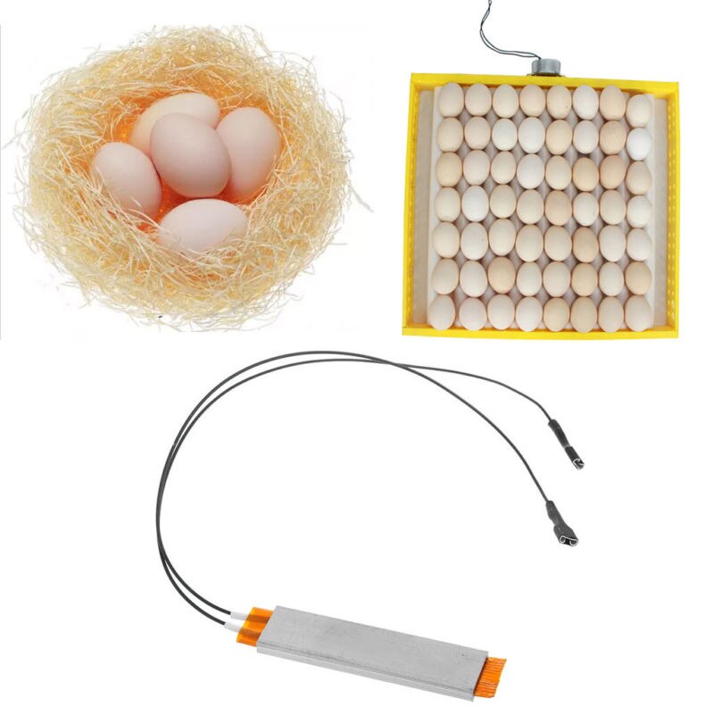 Heating Incubator Heater Plate For Egg Incubator/Accessories Silver Metal