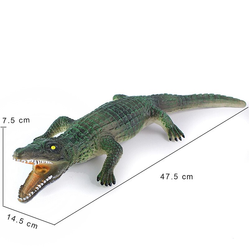Zachte Krokodil Model Krokodil Simulatie Model Krokodil Wetenschap En Onderwijs Kinderen Speelgoed