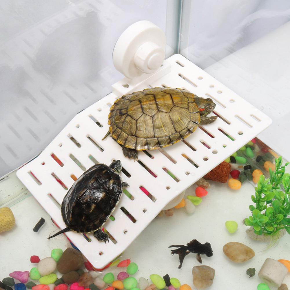 Plataforma de secado de Reptiles, isla flotante con taza de succión para decoración de pecera de acuario