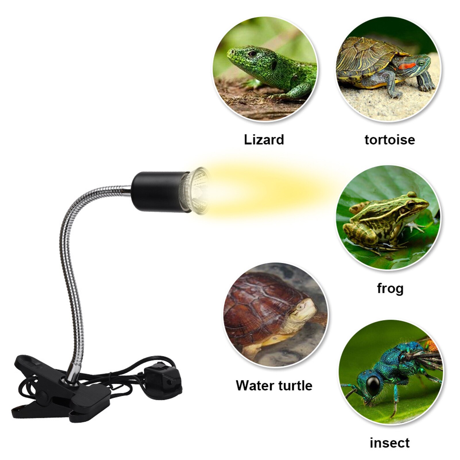 Reptiel Schildpad Warmtelamp Koesteren Lamp Heater Verstelbare Met Clip Aquarium Lamp Inbegrepen Voor Reptielen Hagedis Schildpad Leguanen