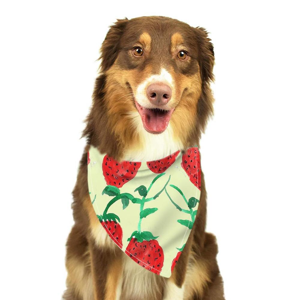 Zomer Pet Kat Hond Bandana Kraag Verstelbare Halsdoek Driehoek Sjaal Tropische Fruit Patroon Speeksel Handdoek Dierbenodigdheden