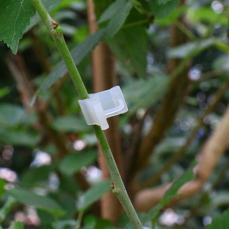 100PCS Plastic Plant Grafting Clips Seedling Growing Clips Vegetables Fruit Tomato Fixing Mini Gardening Tools Support Clamp