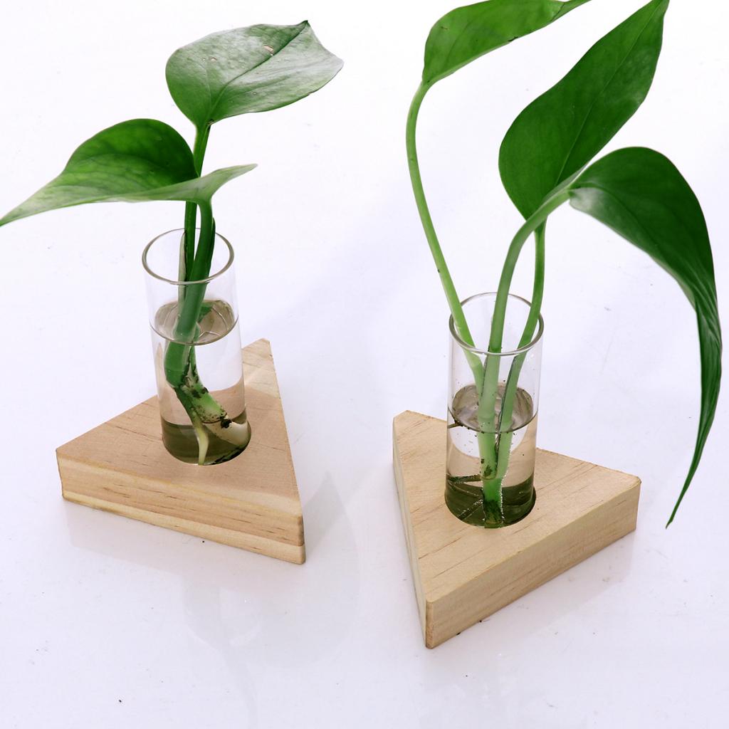 Plantador de 2 uds, jarrón de flor de tubo de prueba, macetas de cristal de mesa en soporte de madera