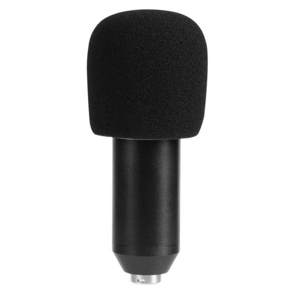 Dynamische Condensator Microfoon Sound Studio Audio-opname Mic met Shock Mount voor Omroep KTV Zingen BM800