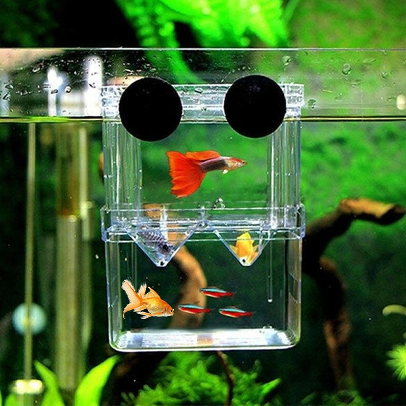 Acrylic Fish Breeding Isolation Box Fish Tank Aquarium Breeder Box Double Guppies Hatching Incubator Aquarium Pet Supplies