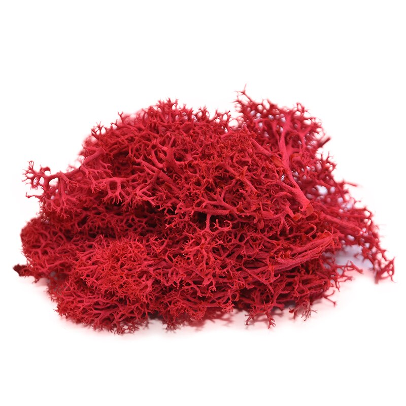 40g kunstig grønn plante mose diy bakgrunn vegg hage hjemmedekorasjon mini mikro landskap tilbehør: B03
