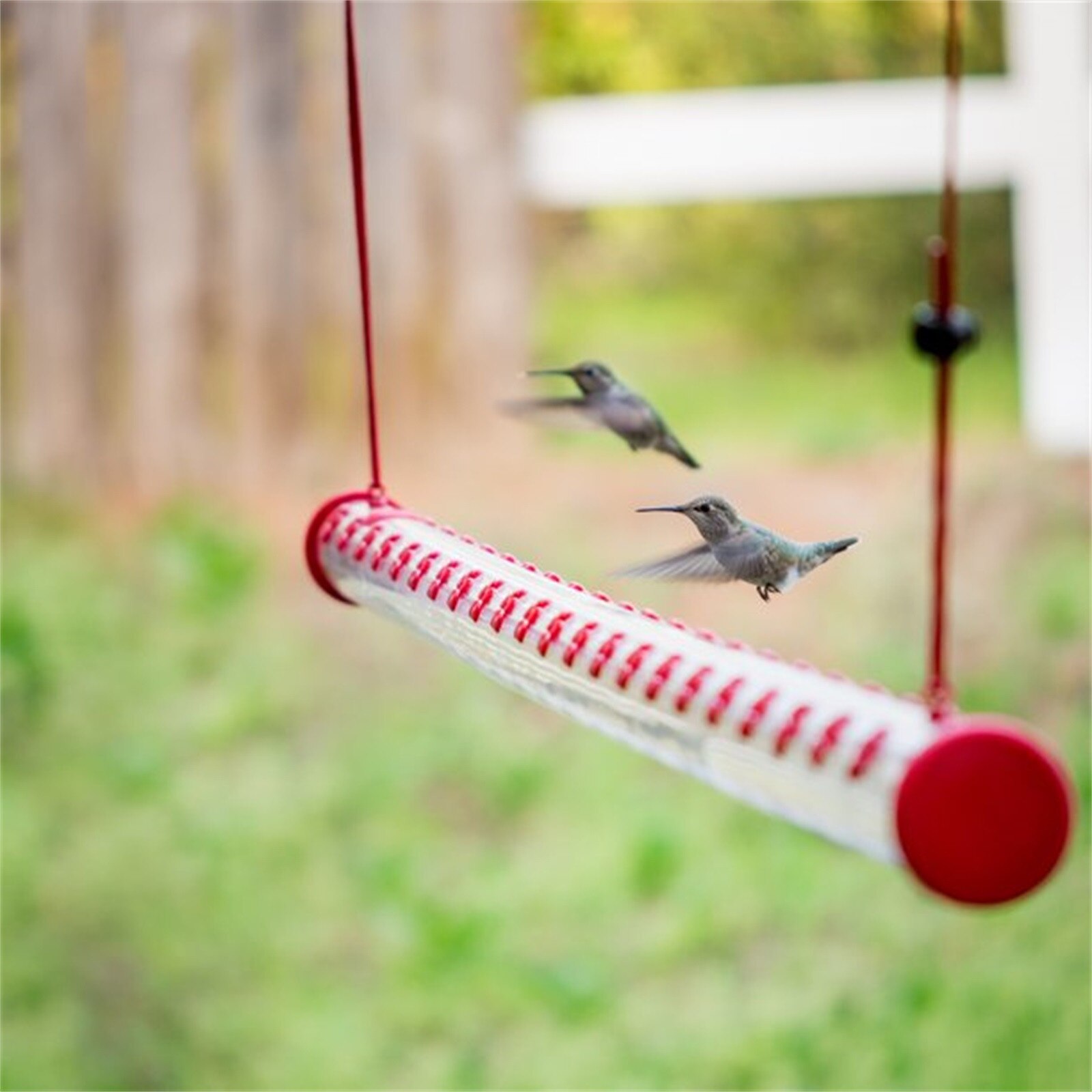 Best Hummingbird Feeder with Hole Birds Feeding Transparent Pipe Easy to Use Household Garden Feeding Supplies