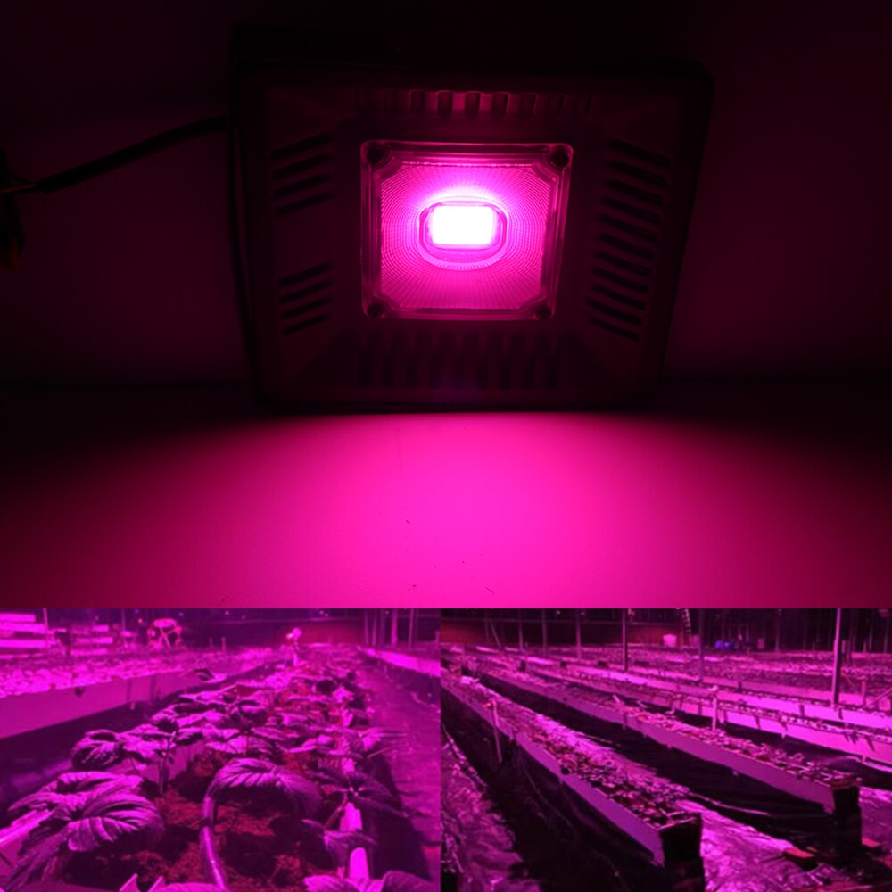 Full Spectrum Lamp LED Growing Light 100W AC 110V 220V High Power Outdoor Waterproof For Greenhouse Hydroponics Seeding
