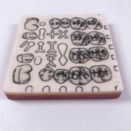 1PCS Dental Cavity Preparation Hole Dentin Shooch Practise Model Filling Template Practice Board High