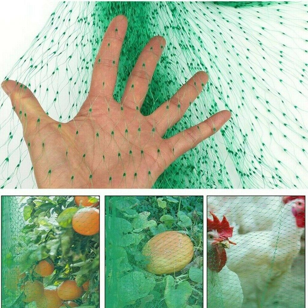 Bird Netting Protect Plants and Fruit Trees From Birds and Wildlife Reusable Lightweight Green Net for Fruit Seedlings Vegetable