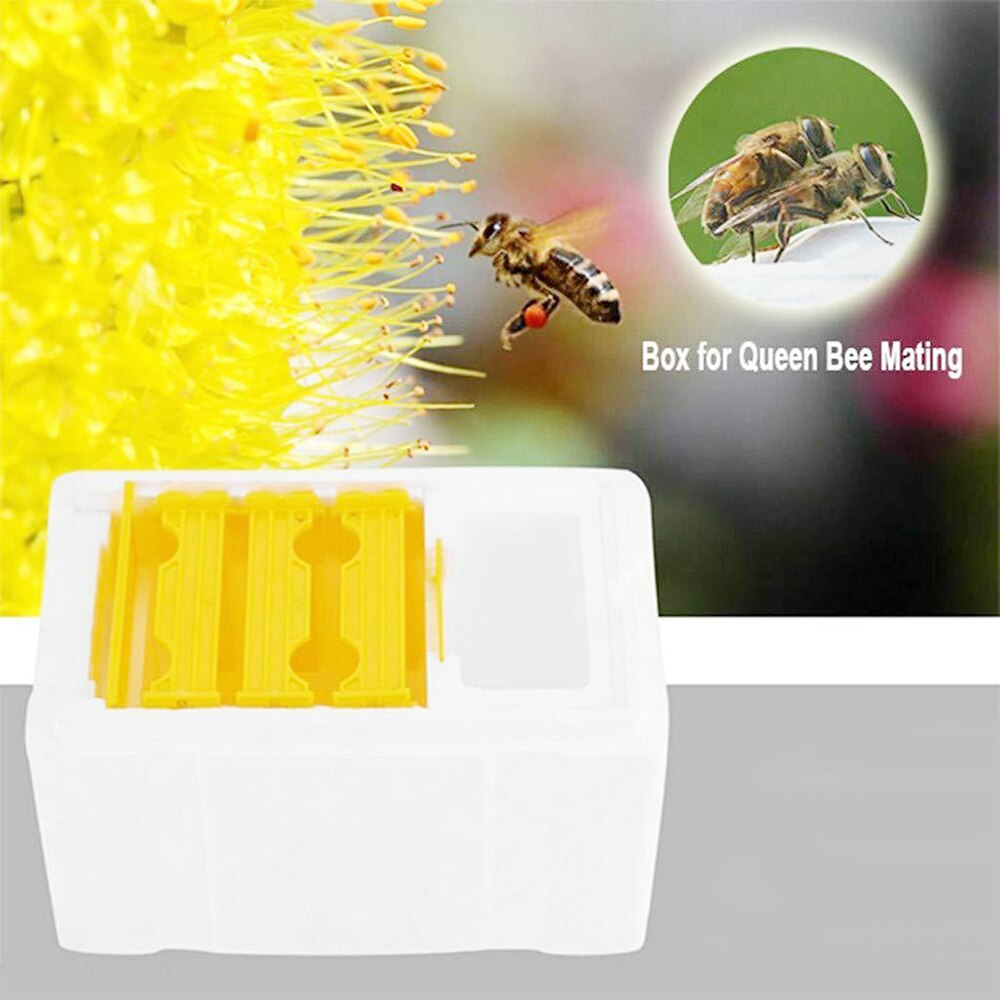 Harvest Bee Hive Box Beekeeping King Pollination Box Beekeeping Tool For Garden Pollination Box King Reserve Beekeeping Tool