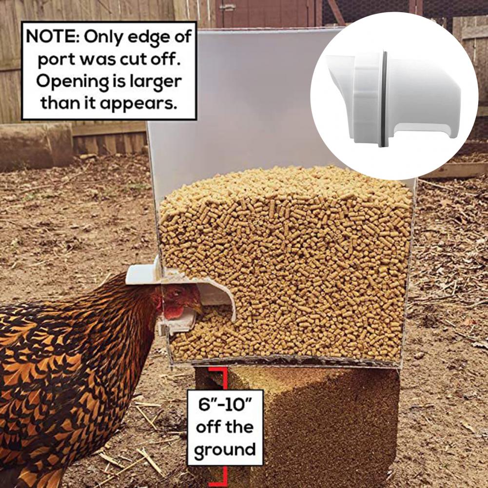 1 Set Modern Duck Feeder Kit Moisture-proof Detachable with Waterproof Seals Effortless Chicken Duck Feeder Kit