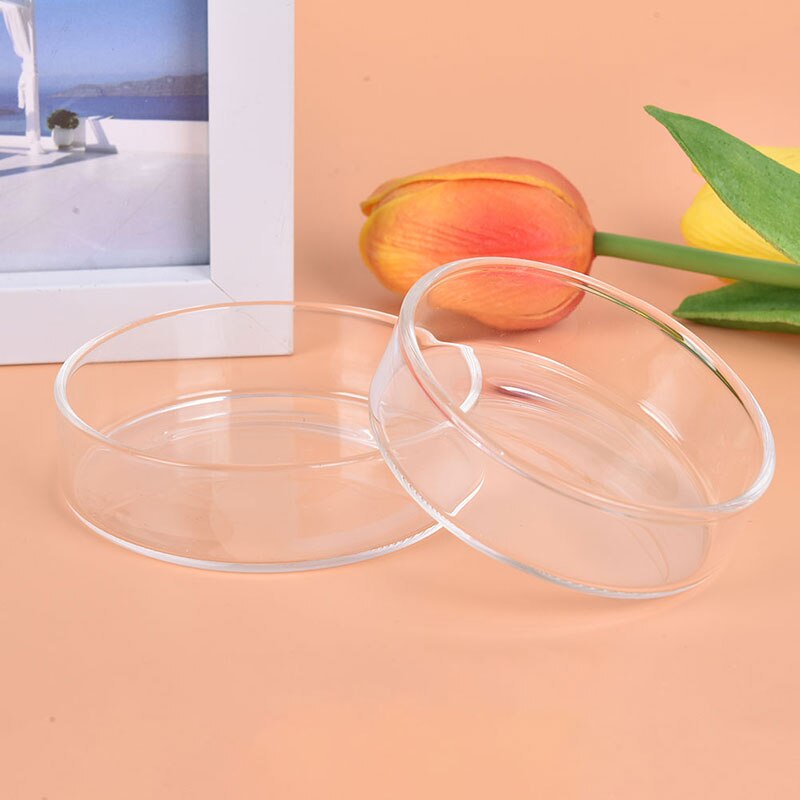 Cuencos de alimentación de cristal transparente para acuario, bandeja alimentadora de comida de gambas para comer, redondo, barato, , 1 unidad