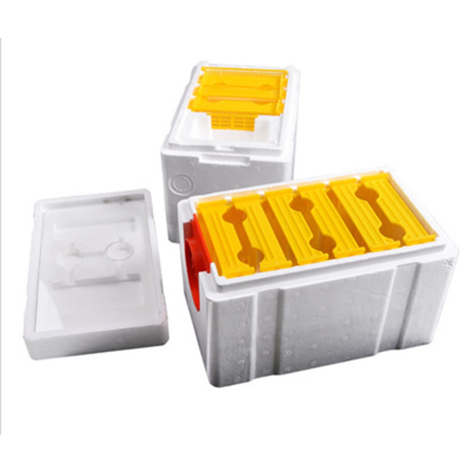 Bee Doos Bijenkorf Nest Bee Nest Bijenteelt Tool Enkele Laag Schuim Doos Eps Perfecte Tuin Tool Bee Bestuiving Doos