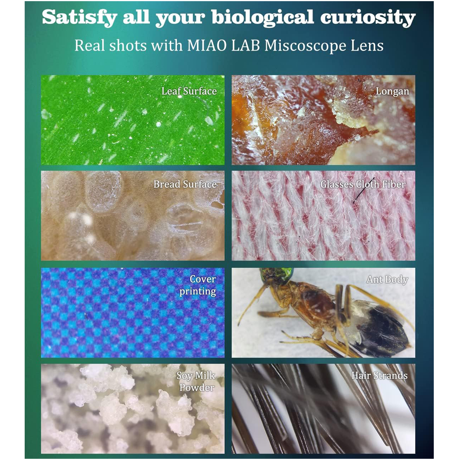 200X Phone Microscope with CPL Lens/LED Light/Universal Clip for iPhone/Andriod Phone To Enjoy Microworld for Kids and Adults