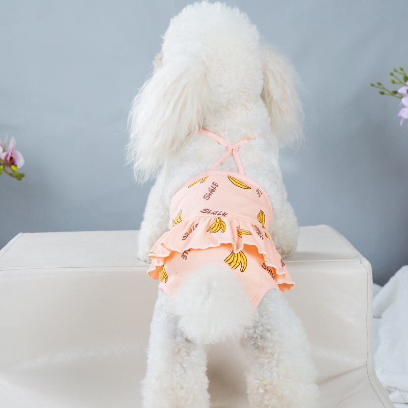 Søde vaskbare hunde blege kæledyr jumpsuit fysiologiske bukser antibakterielle hunde undertøj slidstærke hundeshorts hygiejnetrusser trusser