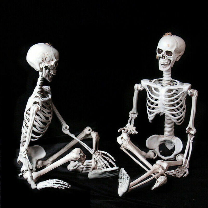 Försäljning halloween poseable livsstil skelett party prop dekor mänsklig anatomi modell