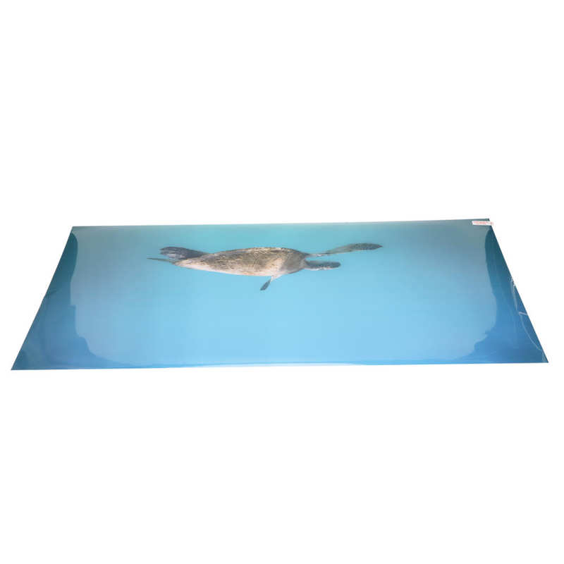 Aquarium Background Paper Fish Tank Decoration Poster Clear Image for Underwater