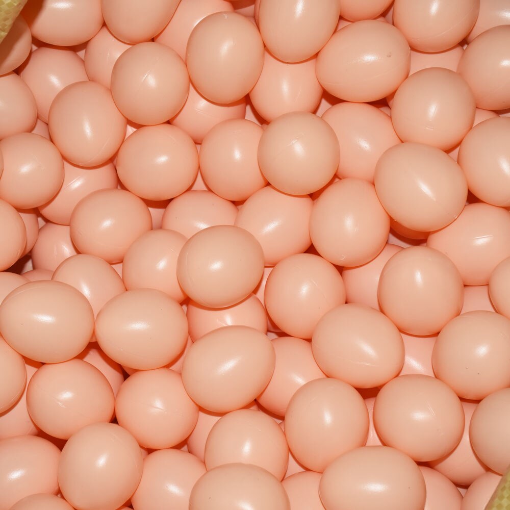 12x Plastic Fake Chicken Eggs Poultry Layer Coop Hatching Simulation Dummy Egg A