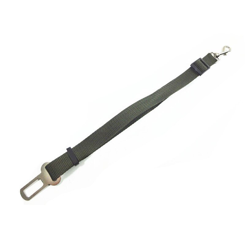 Huisdier Aangelijnd Kat Halsband Trekkabel Autogordel Intrekbare Nylon Materiaal Sterke Slijtvaste Huisdier Accessoires: QG