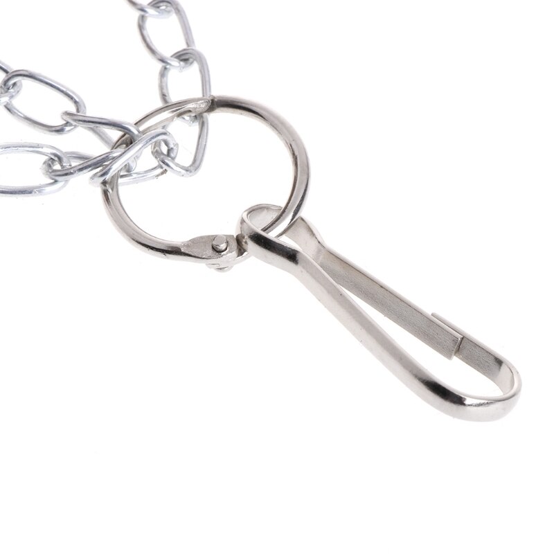 Naturalne łupina kokosa ptasie gniazdo klatka podajnik wiszące stojące zabawki dla zwierząt papuga Dropshipping